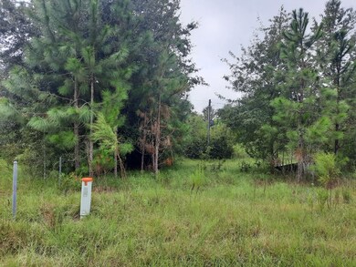 130 Honeysuckle Ln, Fitzgerald, GA 31750 - photo 4