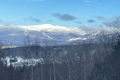 288 Upper Pinnacle Rd, Stowe, VT 05672 - photo 3