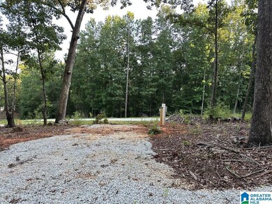 133 Lake Breeze Ln unit 3, Wedowee, AL 36278 - photo 3