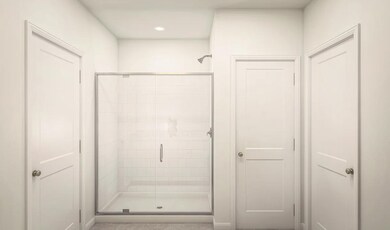 Primary bath shower