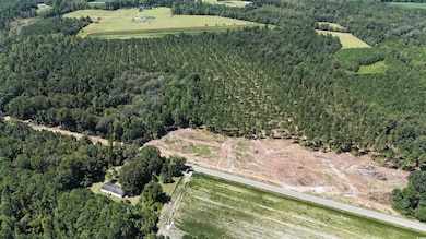 Aerial view of property's location featuring a forest