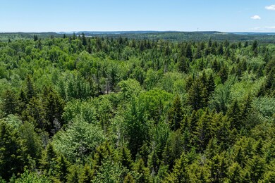 362 Duck Cove Road Roque Bluffs (9 of 21