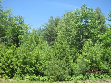 Lot 6 Young Rd, Lisbon, ME 04250 - photo 7