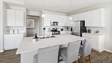 11114 Michigan Place, Crown Point, IN 46307 - photo 5