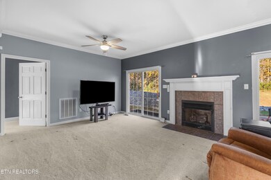 6415 Old Snapps Ferry Rd, Limestone, TN 37681 - photo 7