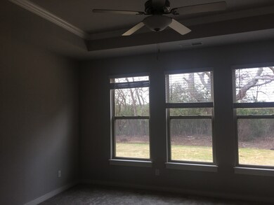 Not actual home, spacious master bedroom with lots of windows, a tray ceiling with crown molding and a ceiling fan facing back yard.