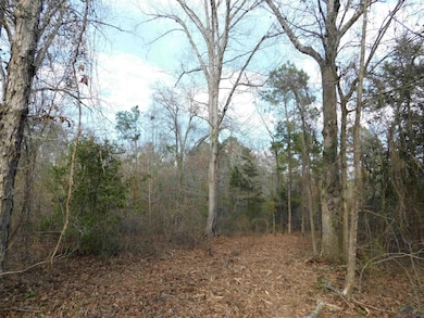 View of landscape