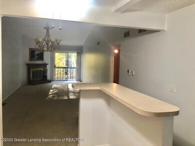 condo kitchen 4