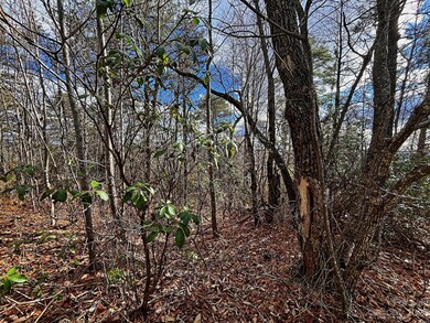 00000 Mountain Crest Dr S unit 71, Marion, NC 28752 - photo 5