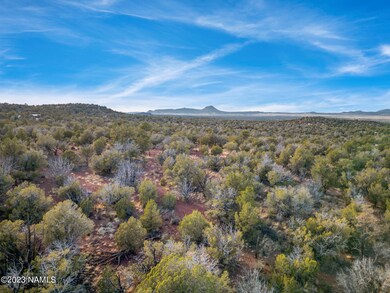 0 W Ricardas Way unit 153 196940, Ash Fork, AZ 86320 - photo 4