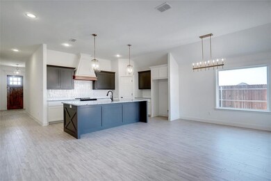 917 Tesslynn Ave, Godley, TX 76044 - photo 4