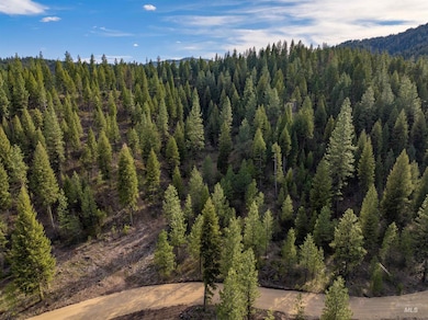 Lot 17 Trail Creek Ct, Placerville, ID 83666 - photo 3