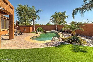 backyard3_700