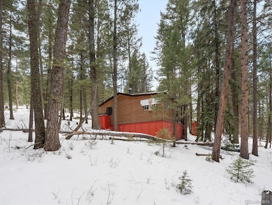 5525 S Twin Spruce Dr, Evergreen, CO 80439 - photo 4