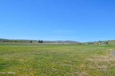 Open Lot