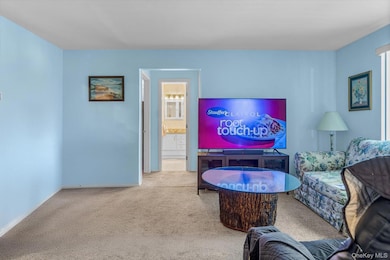 881 Skyline Dr unit 881, Coram, NY 11727 - photo 2