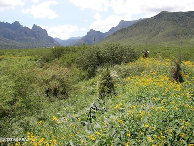 Andreae Arizona Property2