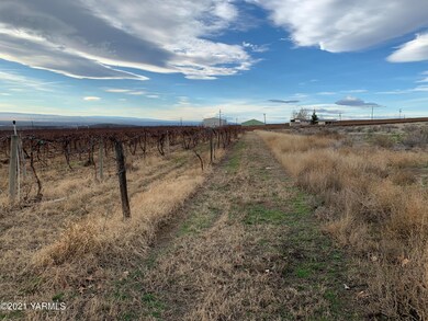 IMG_3369