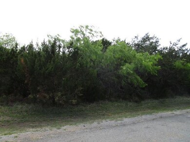 12208 Rolling Oaks Dr, Whitney, TX 76692 - photo 3