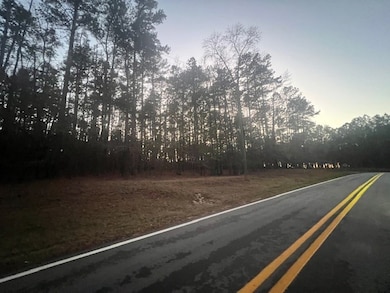 000 S Rock Island Dr, Eatonton, GA 31024 - photo 2