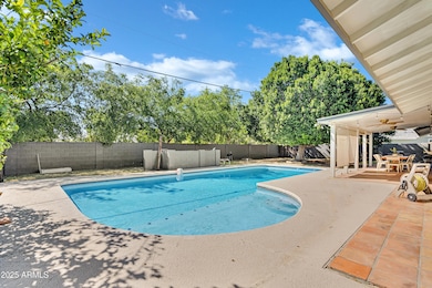 Sparkling Pool