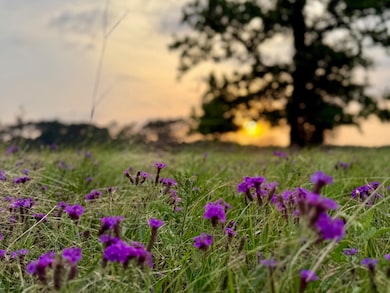 938 Jones Rd, New Waverly, TX 77358 - photo 7