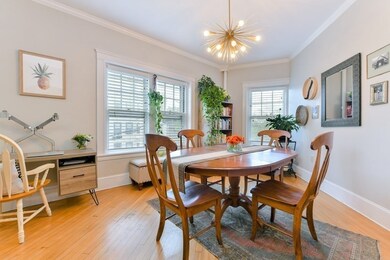 208 Fuller St unit 4, Brookline, MA 02446 - photo 5