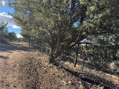 Lot 35 Stephens Dr, Westcliffe, CO 81252 - photo 5