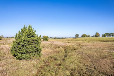 000 County Road 4331, Larue, TX 75770 - photo 7