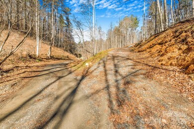 148 Fish Pond Ln, Burnsville, NC 28714 - photo 6