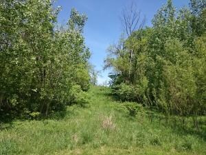 IMG_20150513_132933