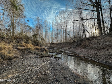 001 Alva Rd, Tomnolen, MS 39744 - photo 7