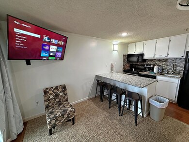 237 Mountain Lodge, Snowshoe, WV 26209 - photo 7