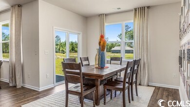 2453 Polaris Path unit Lot 254- Aria A, Myrtle Beach, SC 29577 - photo 5