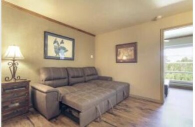 Pull Out Sofa