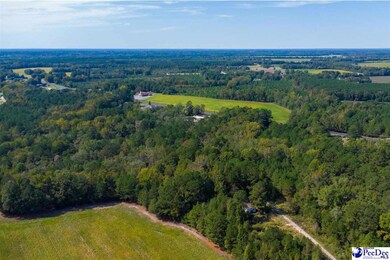 TBD Lamar Hwy, Darlington, SC 29532 - photo 4