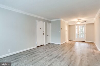 2930 S Buchanan St unit B2, Arlington, VA 22206 - photo 5
