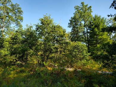 0 S Peacock Trail, Baldwin, MI 49304 - photo 4