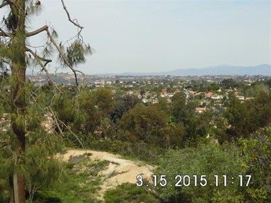 818 Summerhill Ct, Encinitas, CA 92024 - photo 4