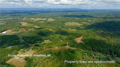 0 Dearmin Rd unit 25132044, Westfield, NC 27053 - photo 2