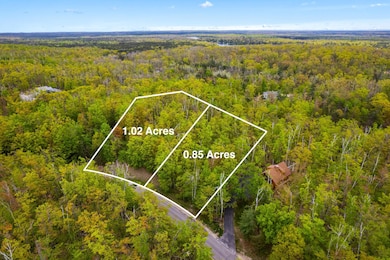 L1596&1597 Pheasant Run, Otsego Lake Township, MI 49735 - photo 3