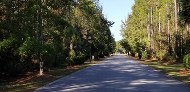 Windswept Estates Entry Road