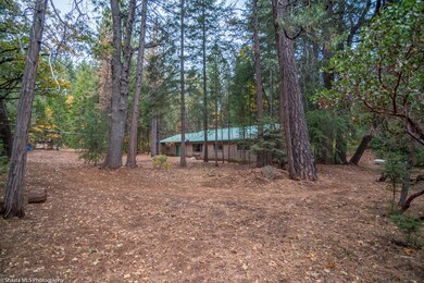 live amongst the trees