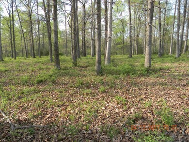 2884 Sims Rd, Shelbyville, TN 37160 - photo 2