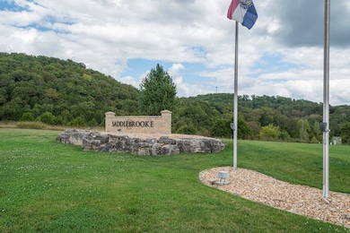 Lot 133 Seven Pines Dr, Saddlebrooke, MO 65630 - photo 2