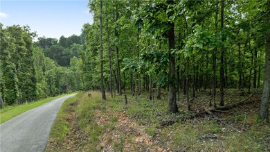 Lot 11 Esculapia Hollow Rd, Rogers, AR 72758 - photo 7