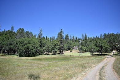 477 Kellogg Gulch Rd, Hayfork, CA 96041 - photo 4