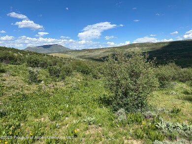IMG_3910