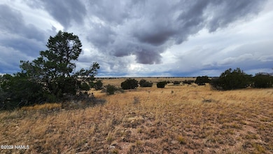 5184 S Starlit Trail, Williams, AZ 86046 - photo 7