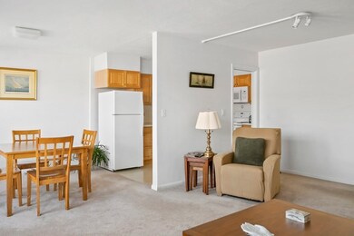 Hammond Park Condominiums unit 205, Chestnut Hill, MA 02467 - photo 6